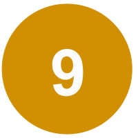 icon 9